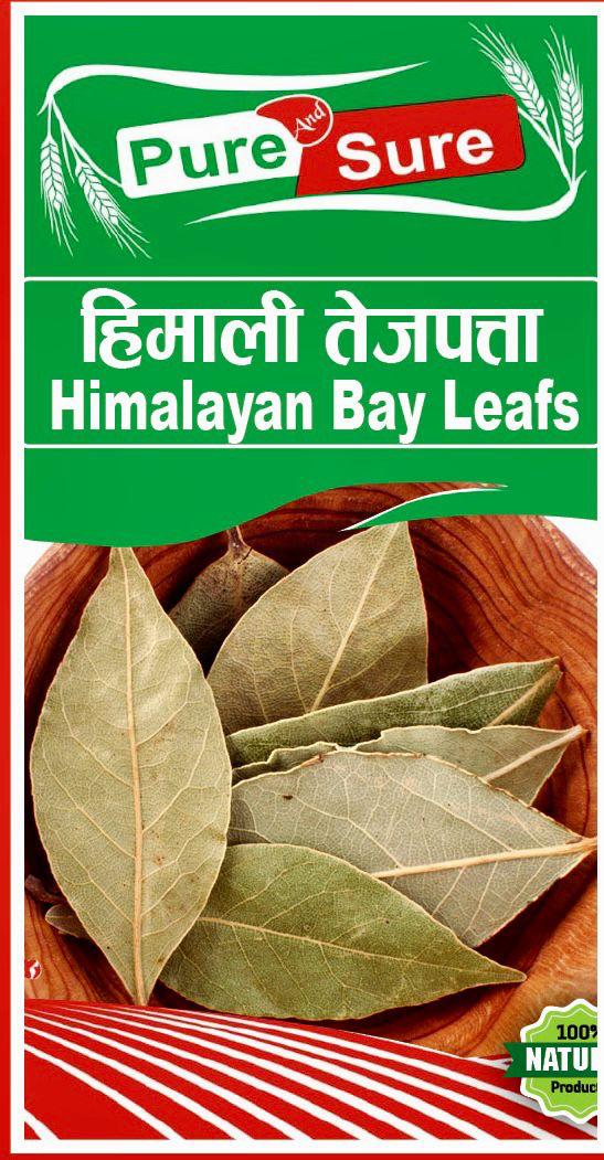 WhatsApp Image 2026-02-26 at 5.03.34 PM