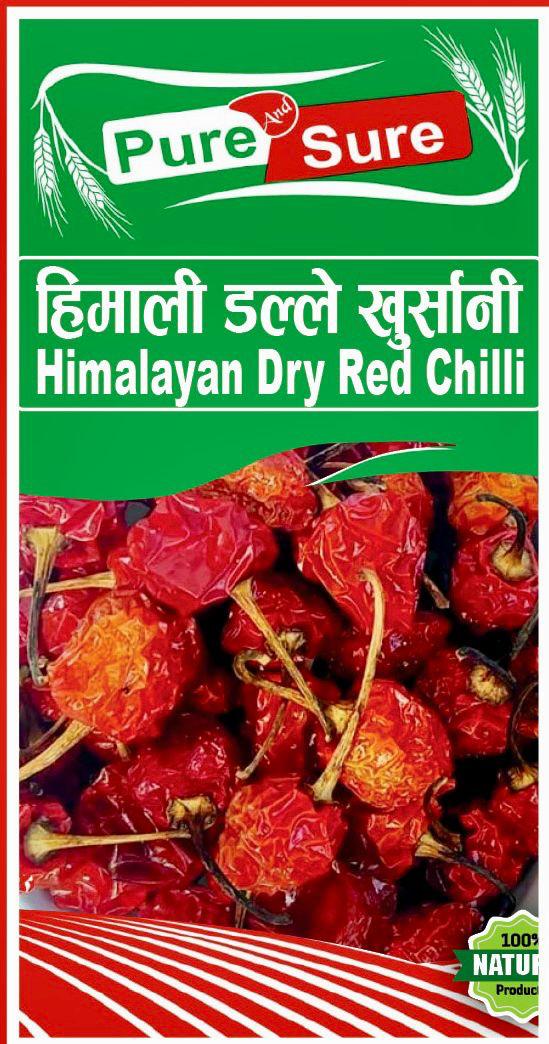 WhatsApp Image 2026-02-26 at 5.03.45 PM