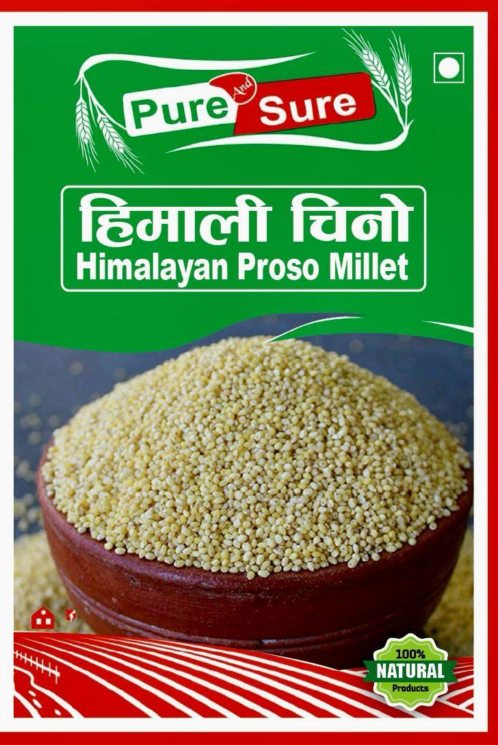 WhatsApp Image 2026-02-26 at 5.03.46 PM (1)