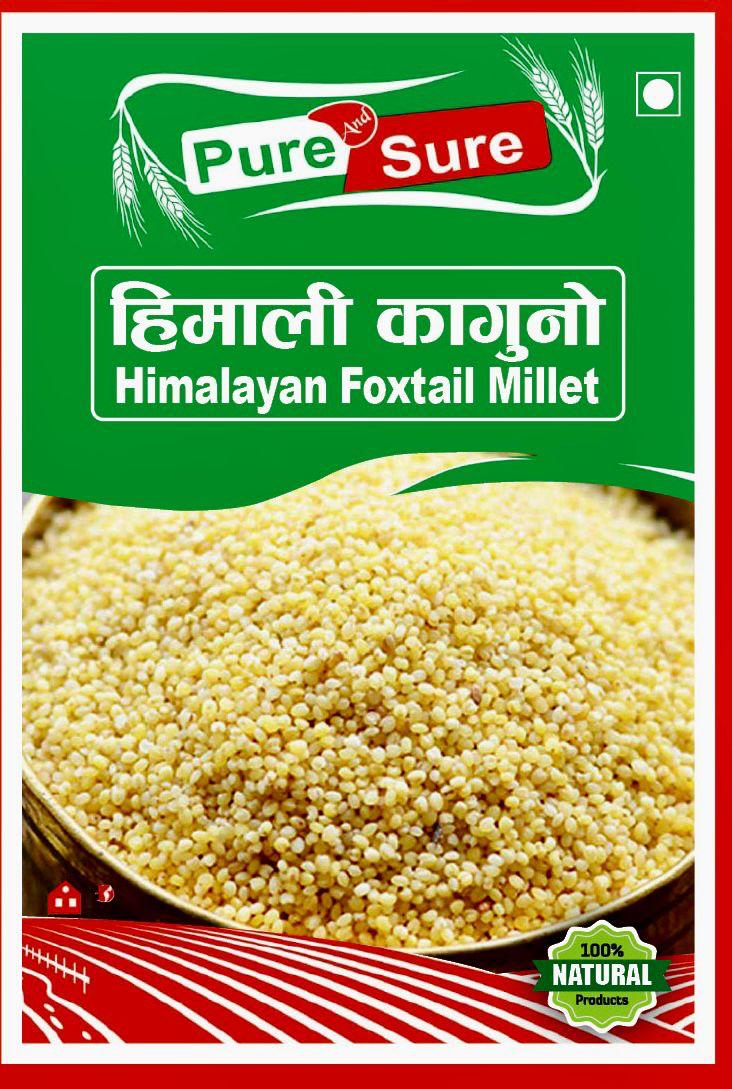 WhatsApp Image 2026-02-26 at 5.03.46 PM (2)