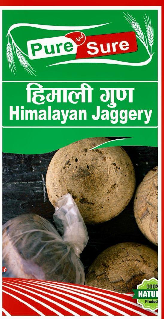 WhatsApp Image 2026-02-26 at 5.03.46 PM