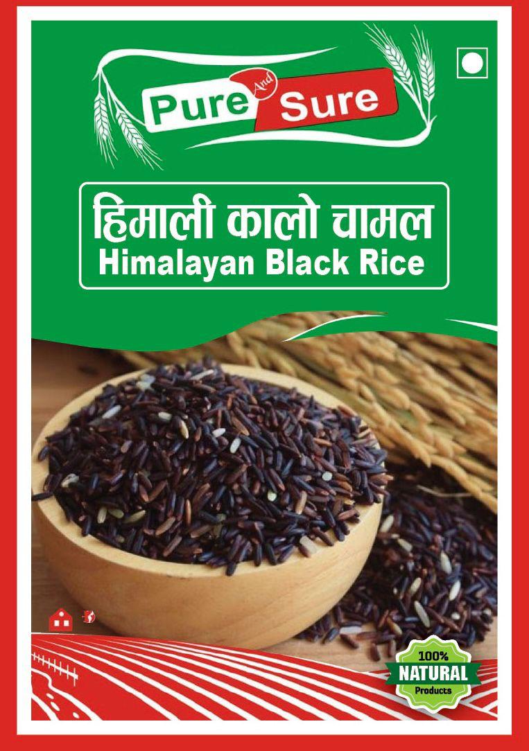 WhatsApp Image 2026-02-26 at 5.03.47 PM