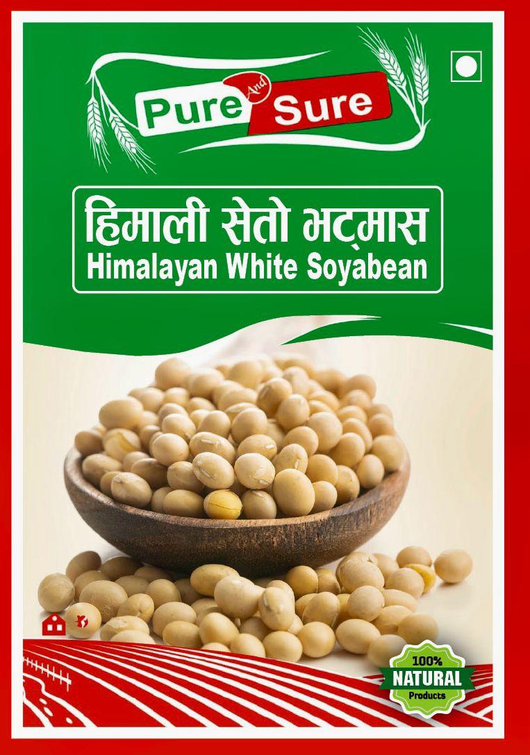 WhatsApp Image 2026-02-26 at 5.03.50 PM (1)