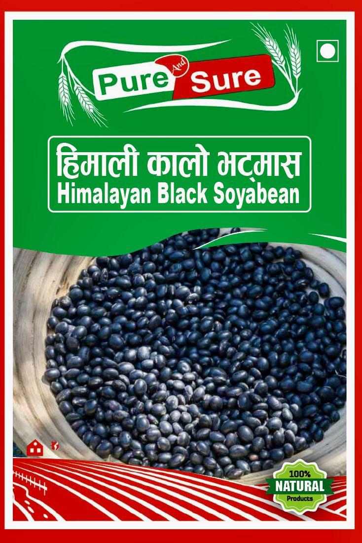 WhatsApp Image 2026-02-26 at 5.03.50 PM