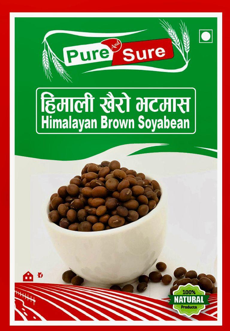 WhatsApp Image 2026-02-26 at 5.03.51 PM