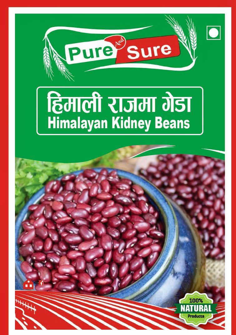 WhatsApp Image 2026-02-26 at 5.03.52 PM