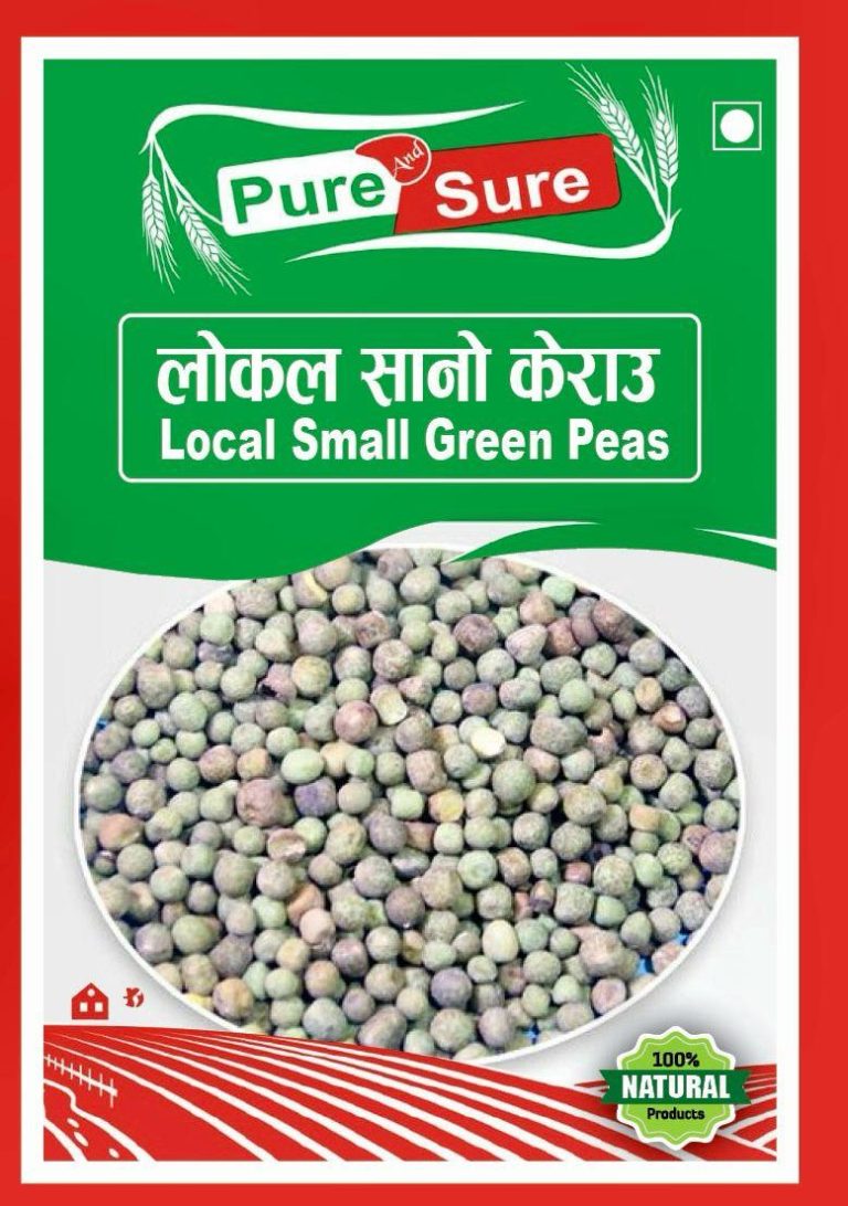 WhatsApp Image 2026-02-26 at 5.03.53 PM (1)