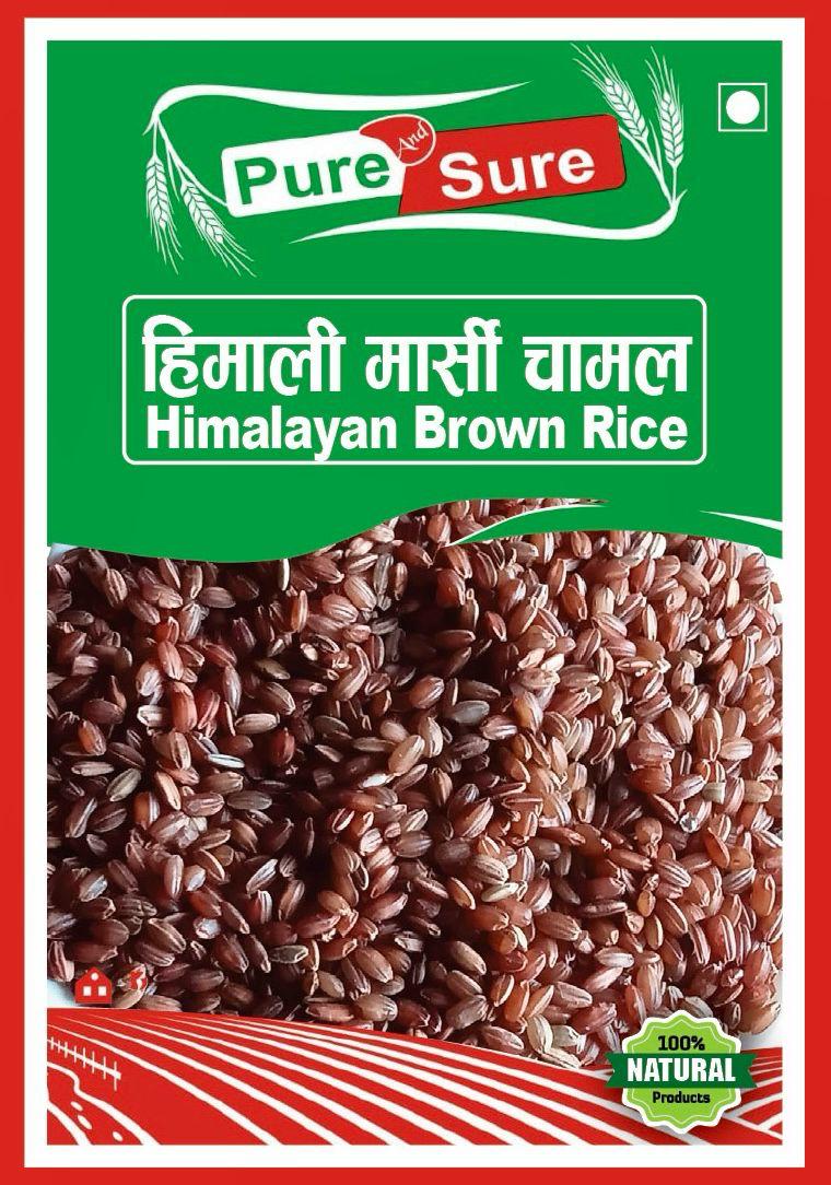 WhatsApp Image 2026-02-26 at 5.03.55 PM