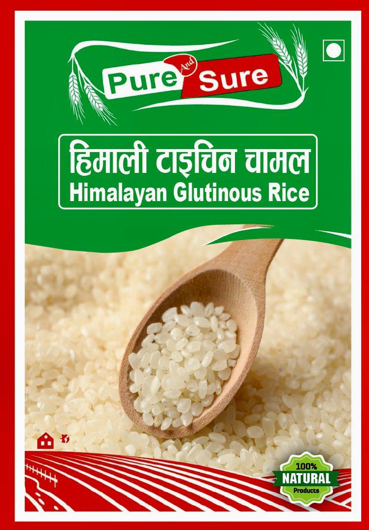 WhatsApp Image 2026-02-26 at 5.03.56 PM