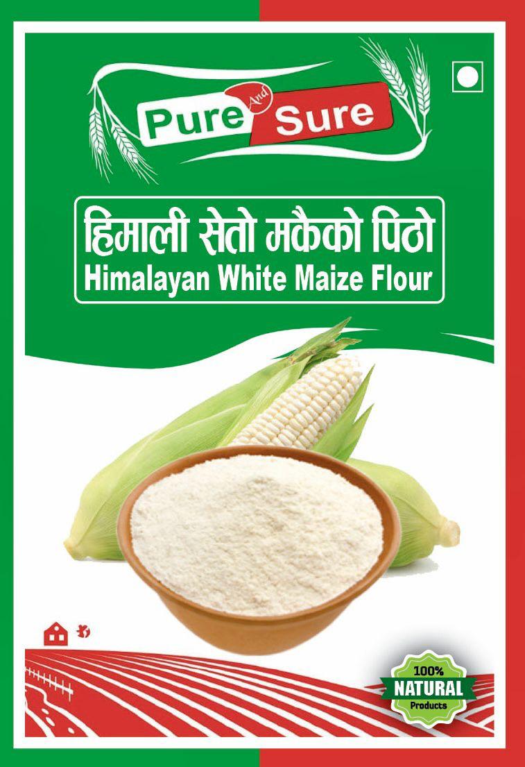 WhatsApp Image 2026-02-26 at 5.03.59 PM (1)