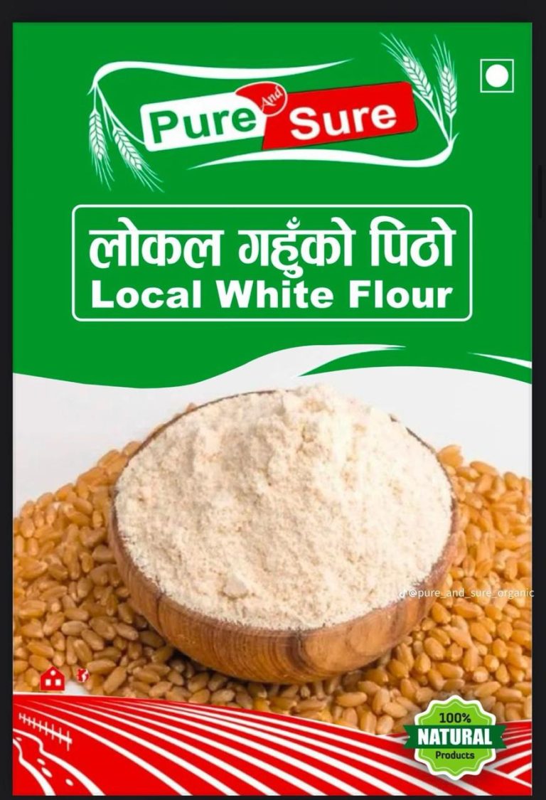 WhatsApp Image 2026-02-26 at 5.04.01 PM