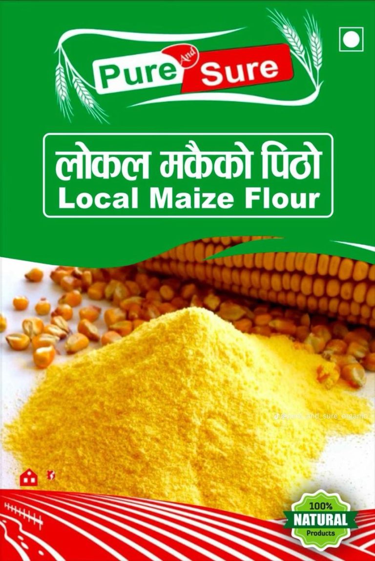 WhatsApp Image 2026-02-26 at 5.04.02 PM